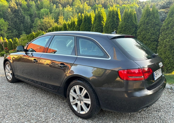 Audi A4 cena 26500 przebieg: 244594, rok produkcji 2008 z Czchów małe 79